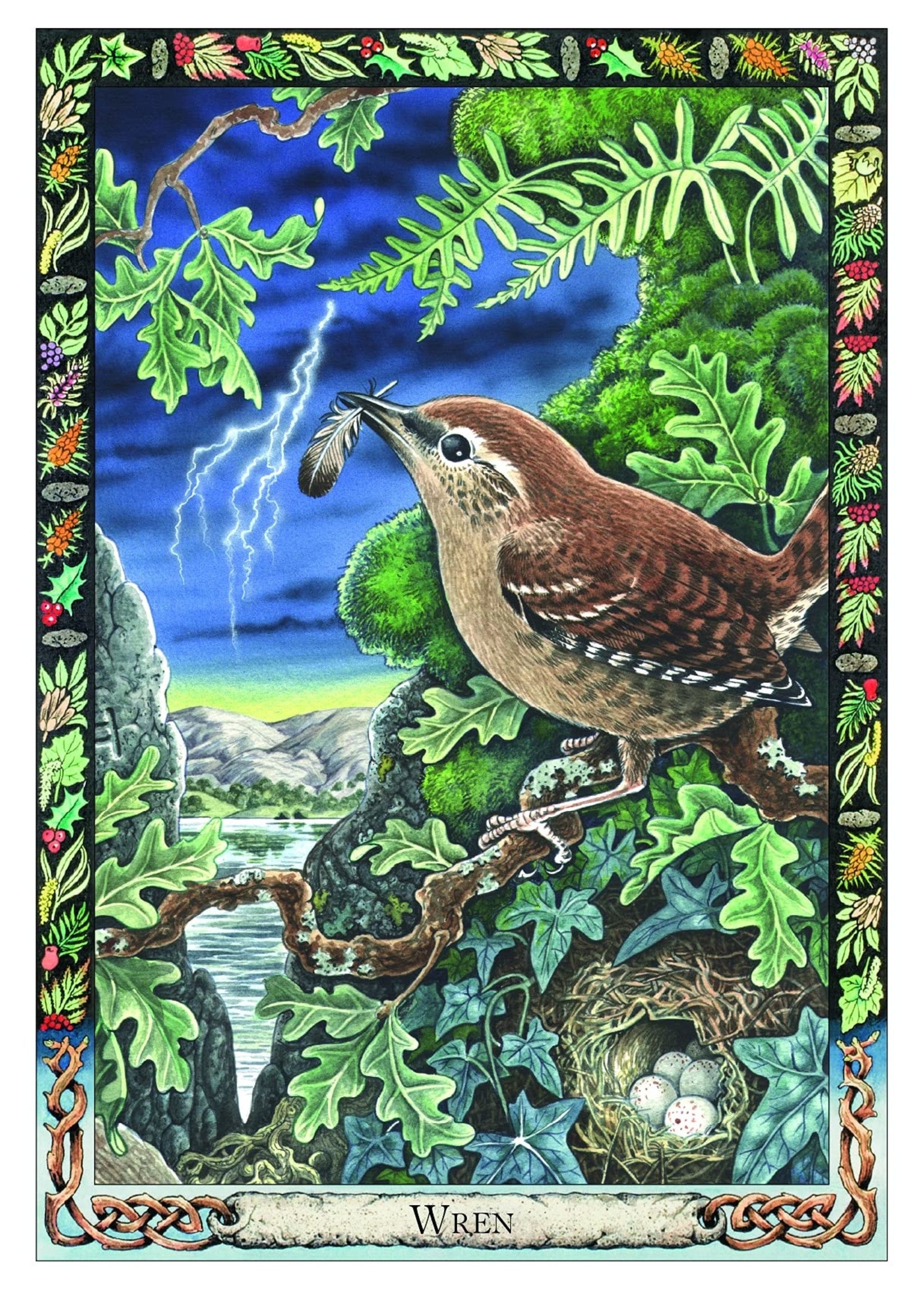 The Celtic Tree Oracle kortos Welbeck Publishing