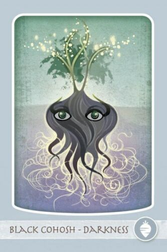 Herbal Healing Deck Taro Kortos Schiffer Publishing