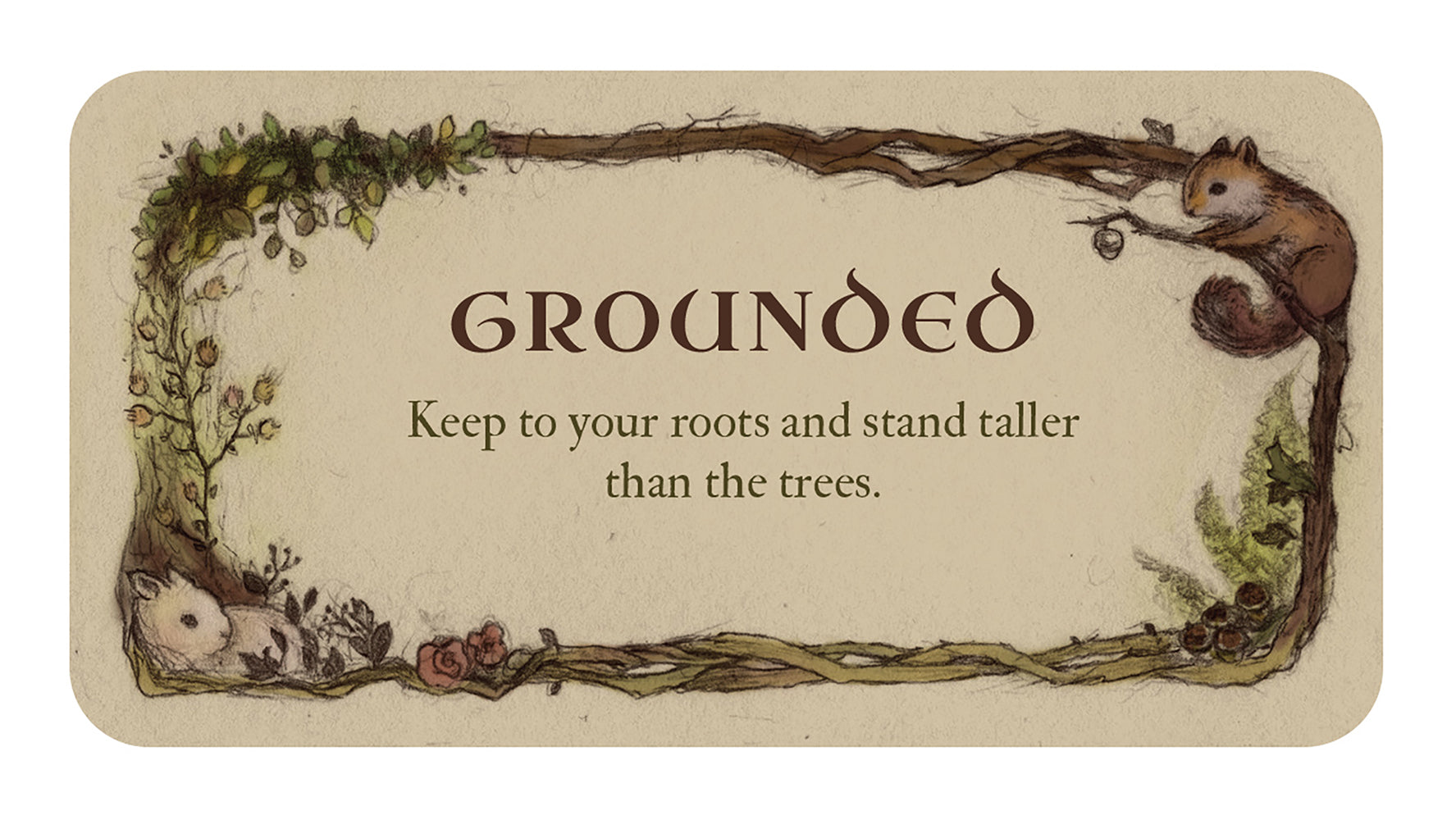WHISPERING WOODS INSPIRATIONAL CARDS: afirmacijų kortos su senovės miško išmintimi