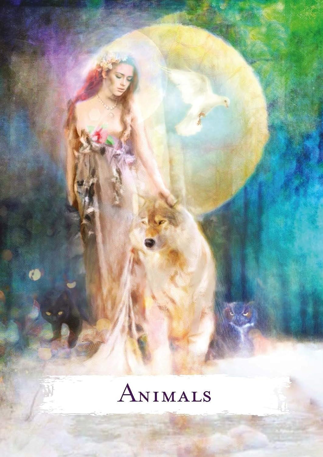 Spellcasting Oracle kortos Hay House