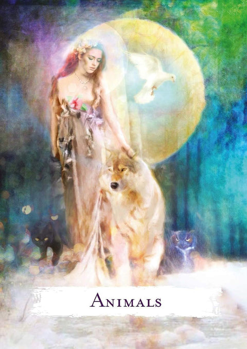 Spellcasting Oracle kortos Hay House