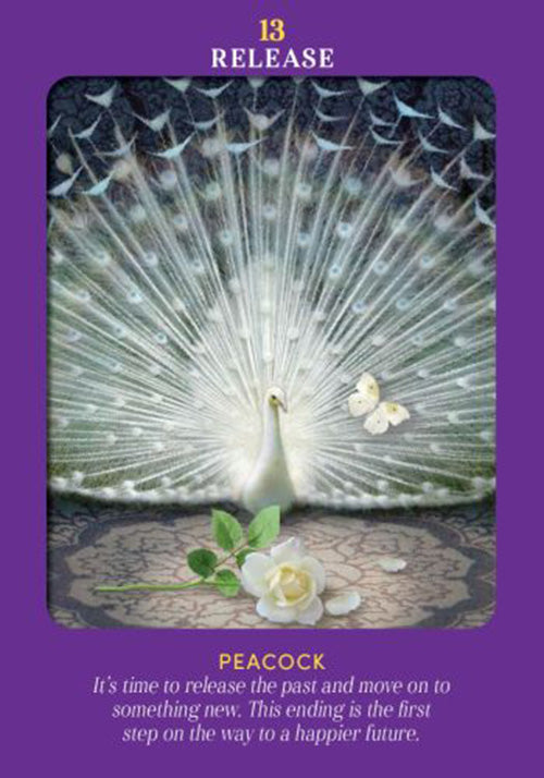 Animal Guides Tarot kortos Hay House