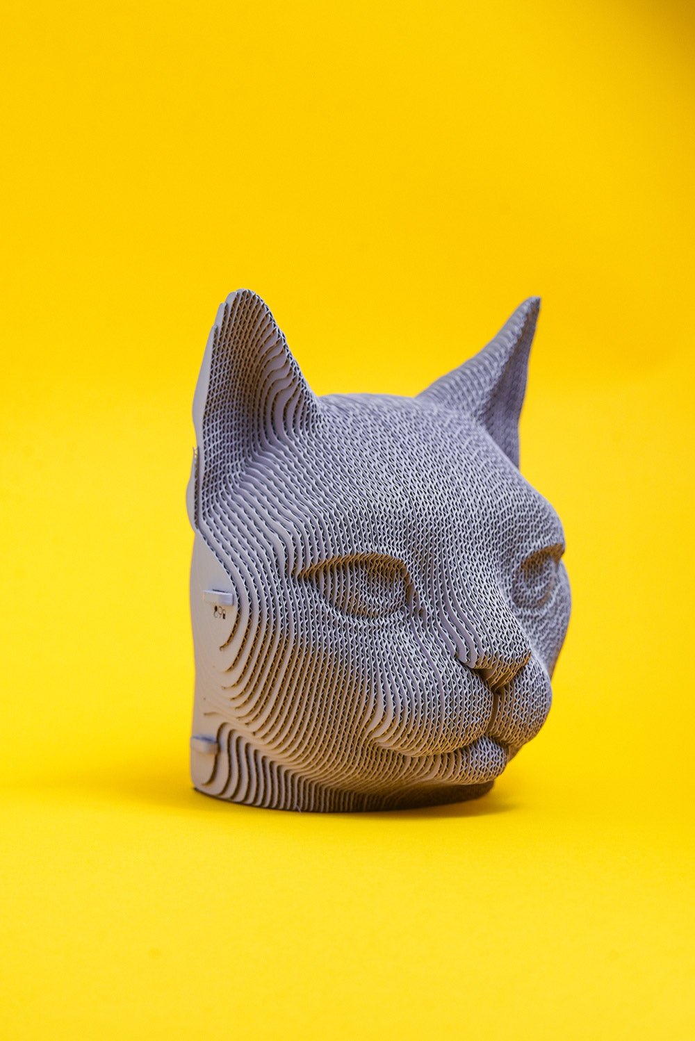 PONAS KATINAS: surenkama 3D dėlionė - skulptūra - OBUOLYS