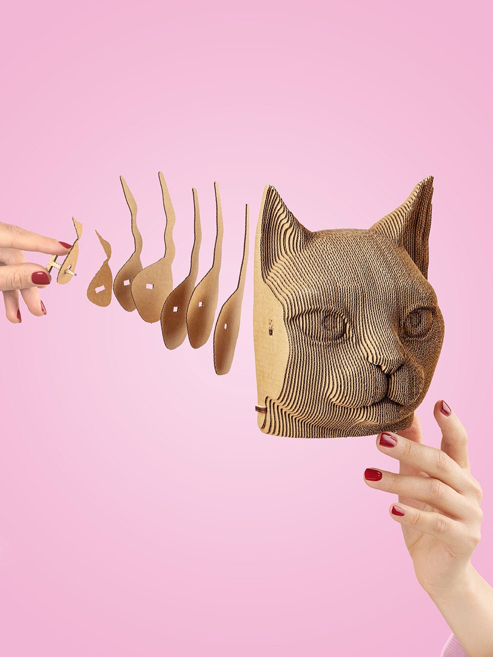 PONAS KATINAS: surenkama 3D dėlionė - skulptūra - OBUOLYS