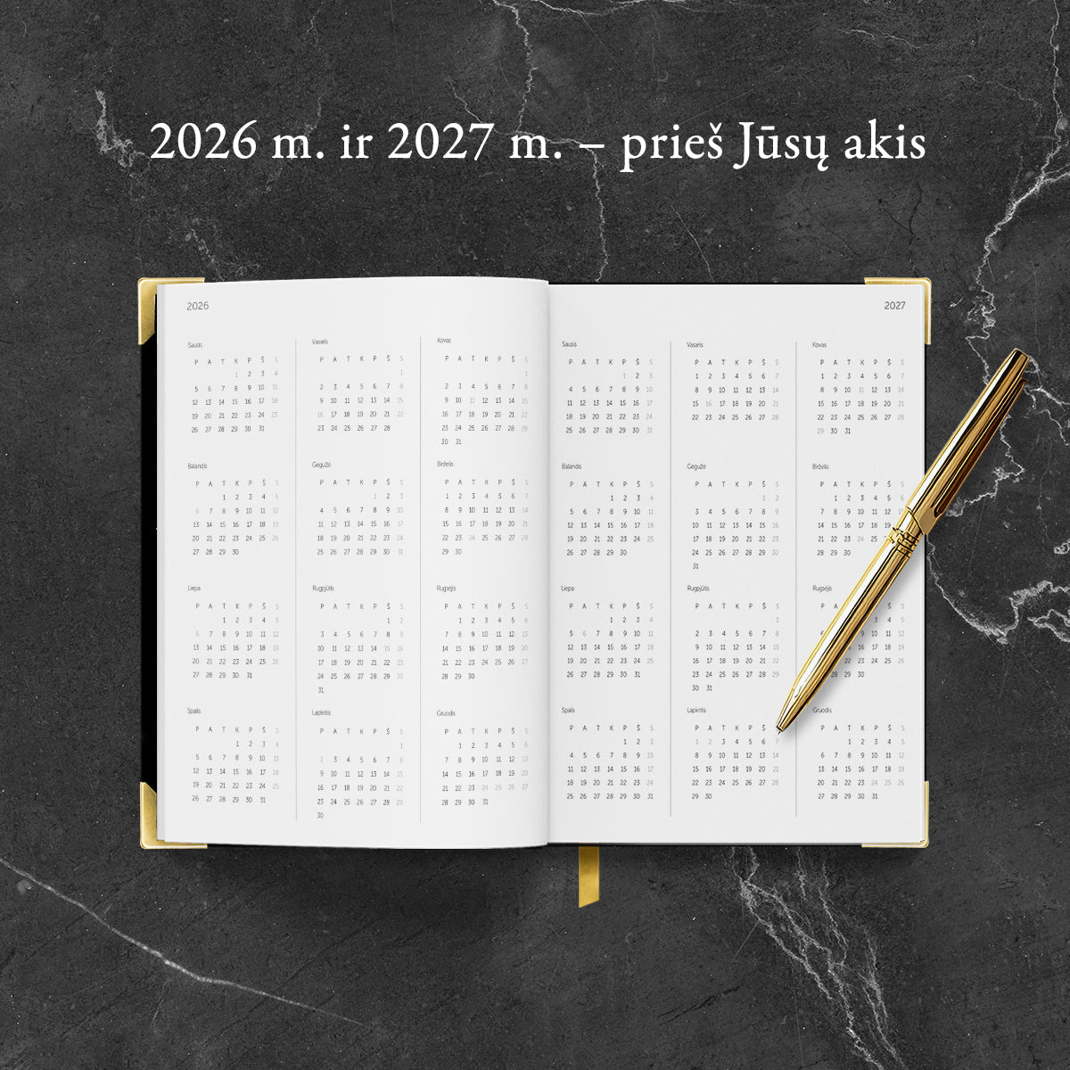 PREMIUM KLASĖS VERSLO STRATEGO DARBO KNYGA 2026 m. (Knygos su defektais) - OBUOLYS