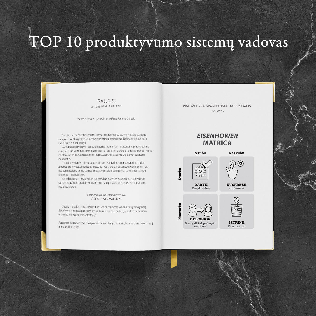 PREMIUM KLASĖS VERSLO STRATEGO DARBO KNYGA 2026 m. (Knygos su defektais) - OBUOLYS