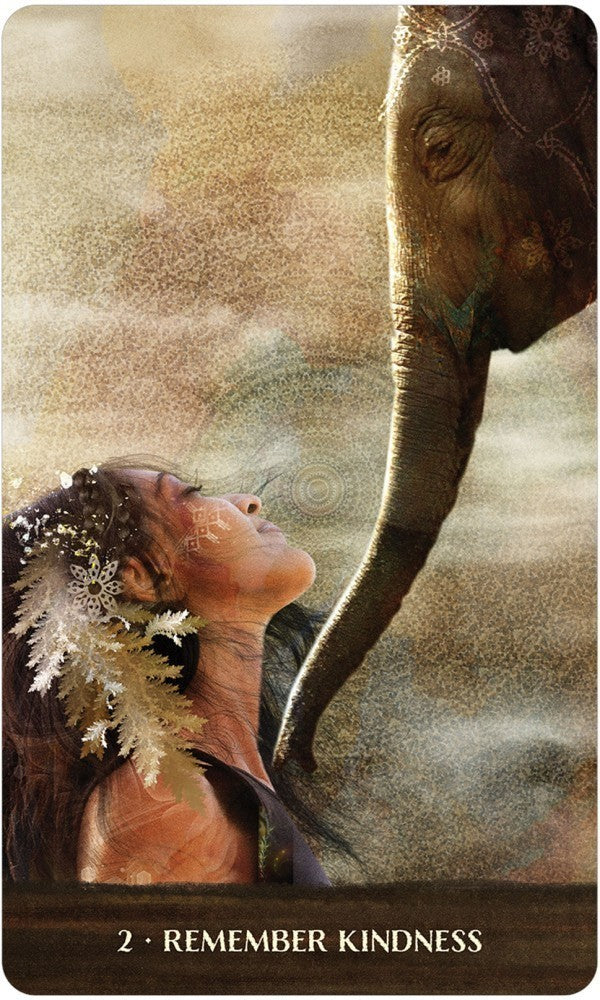 Wild woman rising Oracle kortos US Games Systems
