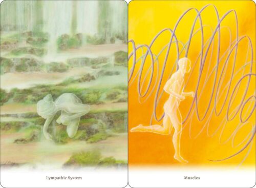 Body healing Cards kortos Findhorn Press