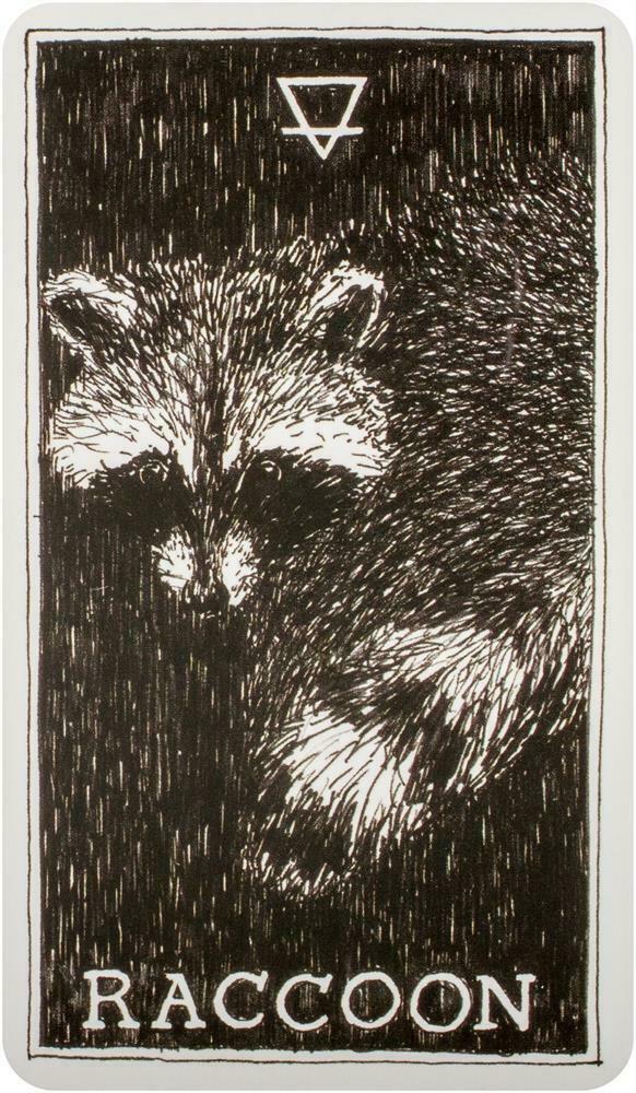 The Wild Unknown Animal Spirit Oracle kortų ir knygos rinkinys Harper One