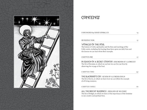 Voyages with the Celtic Saints Knyga Schiffer Publishing