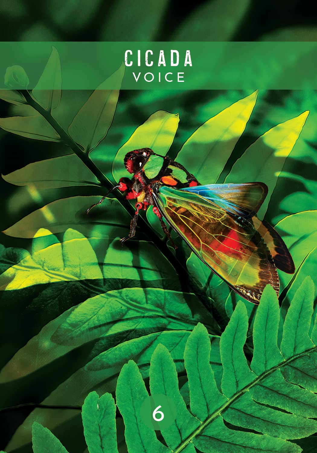 Messages from the Spirits of Nature Oracle kortos Hay House