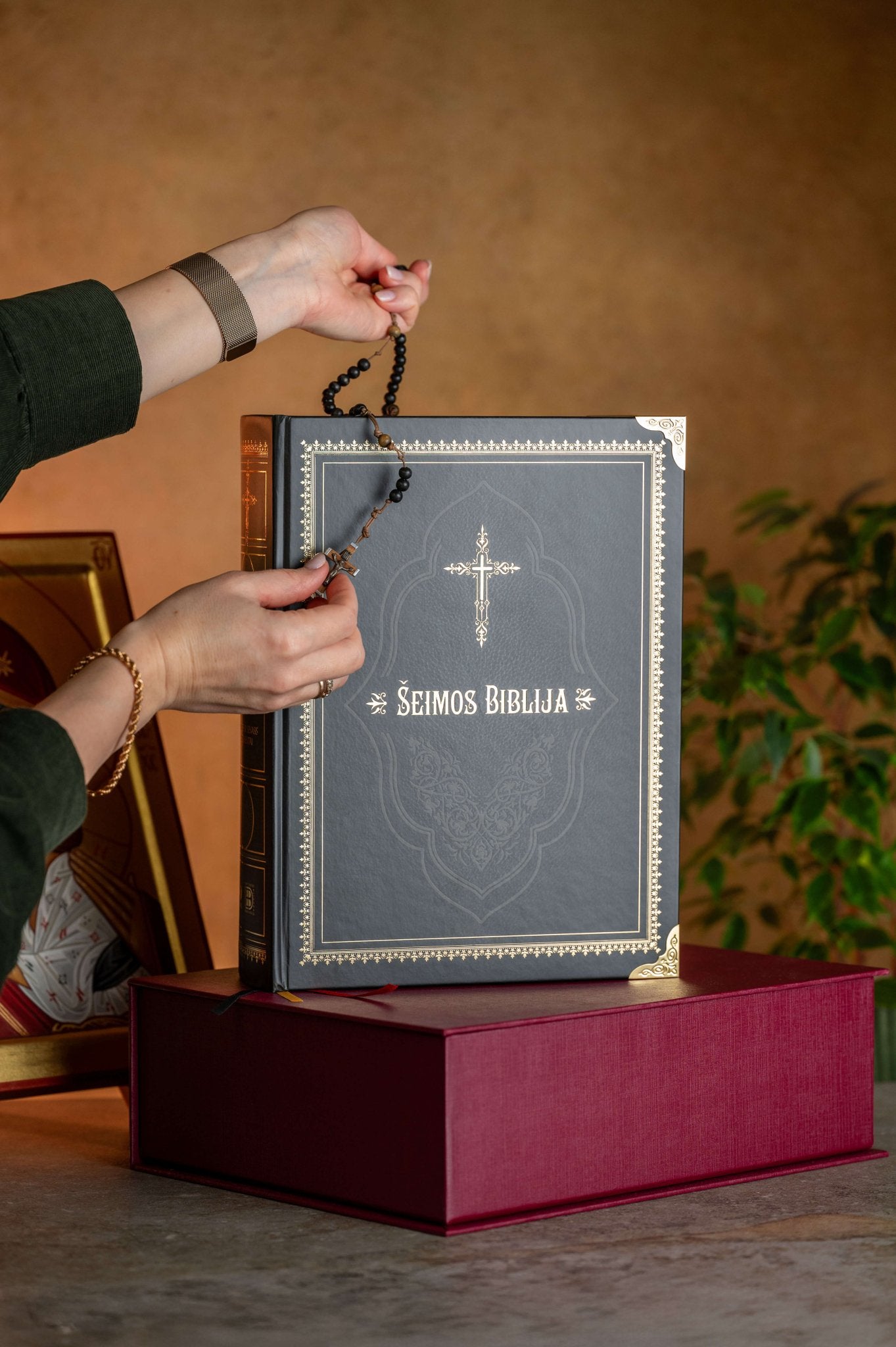 ŠEIMOS BIBLIJA: gražiausia ir didžiausia pasaulyje iliustruota lietuviška Biblija + galimybė personalizuoti Jūsų šeimos vardu - OBUOLYS