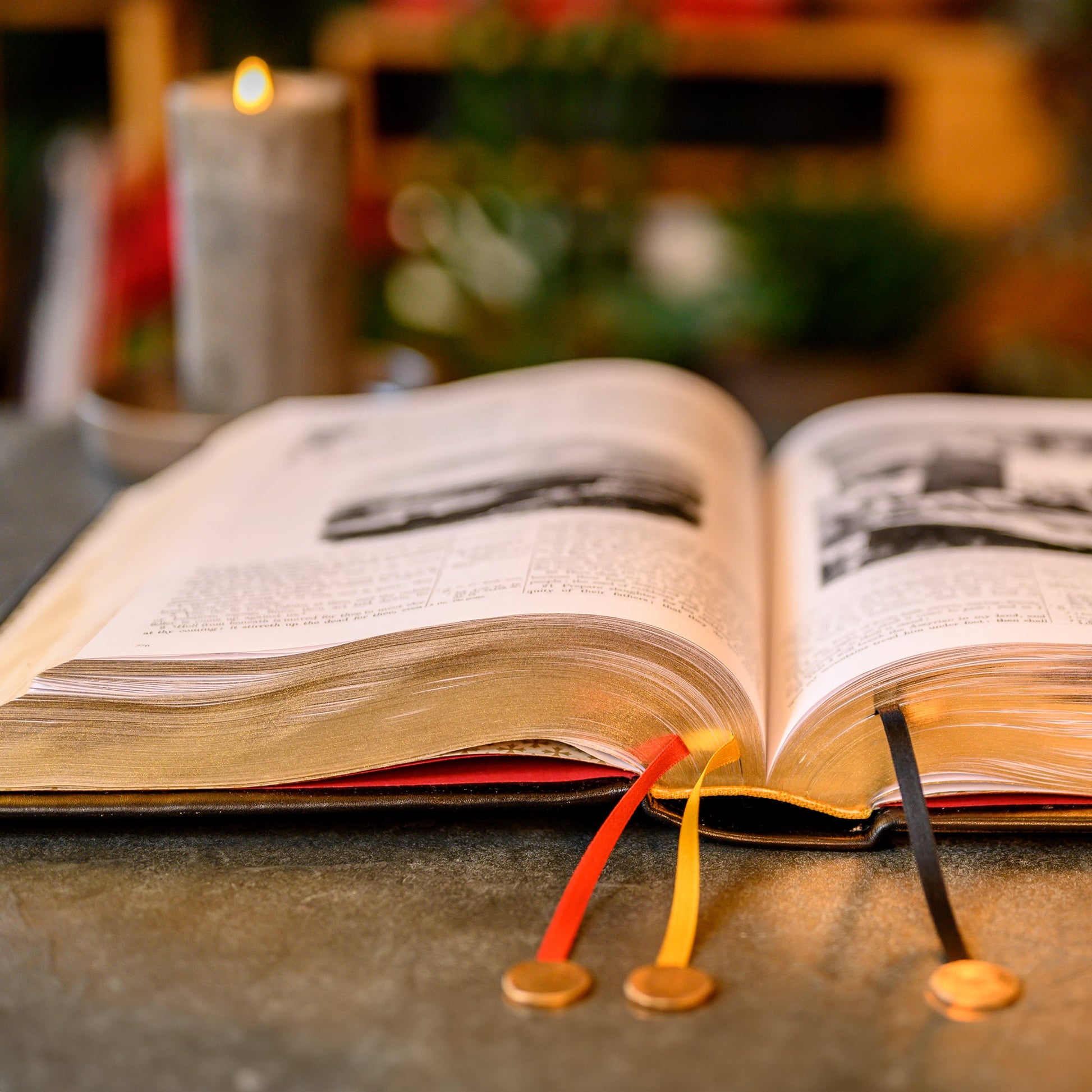 ŠEIMOS BIBLIJA – VIENETINIAI EGZEMPLIORIAI SU RANKŲ DARBO ODINIAIS VIRŠELIAIS - OBUOLYS