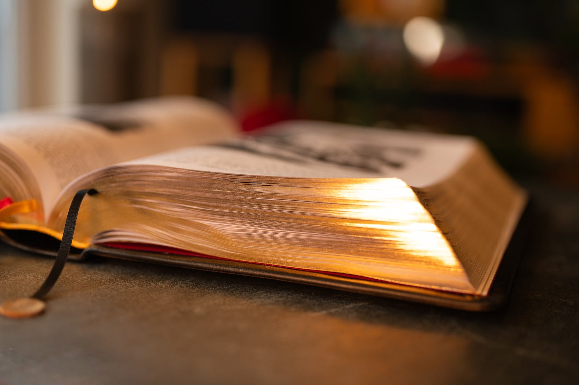 ŠEIMOS BIBLIJA – VIENETINIAI EGZEMPLIORIAI SU RANKŲ DARBO ODINIAIS VIRŠELIAIS - OBUOLYS