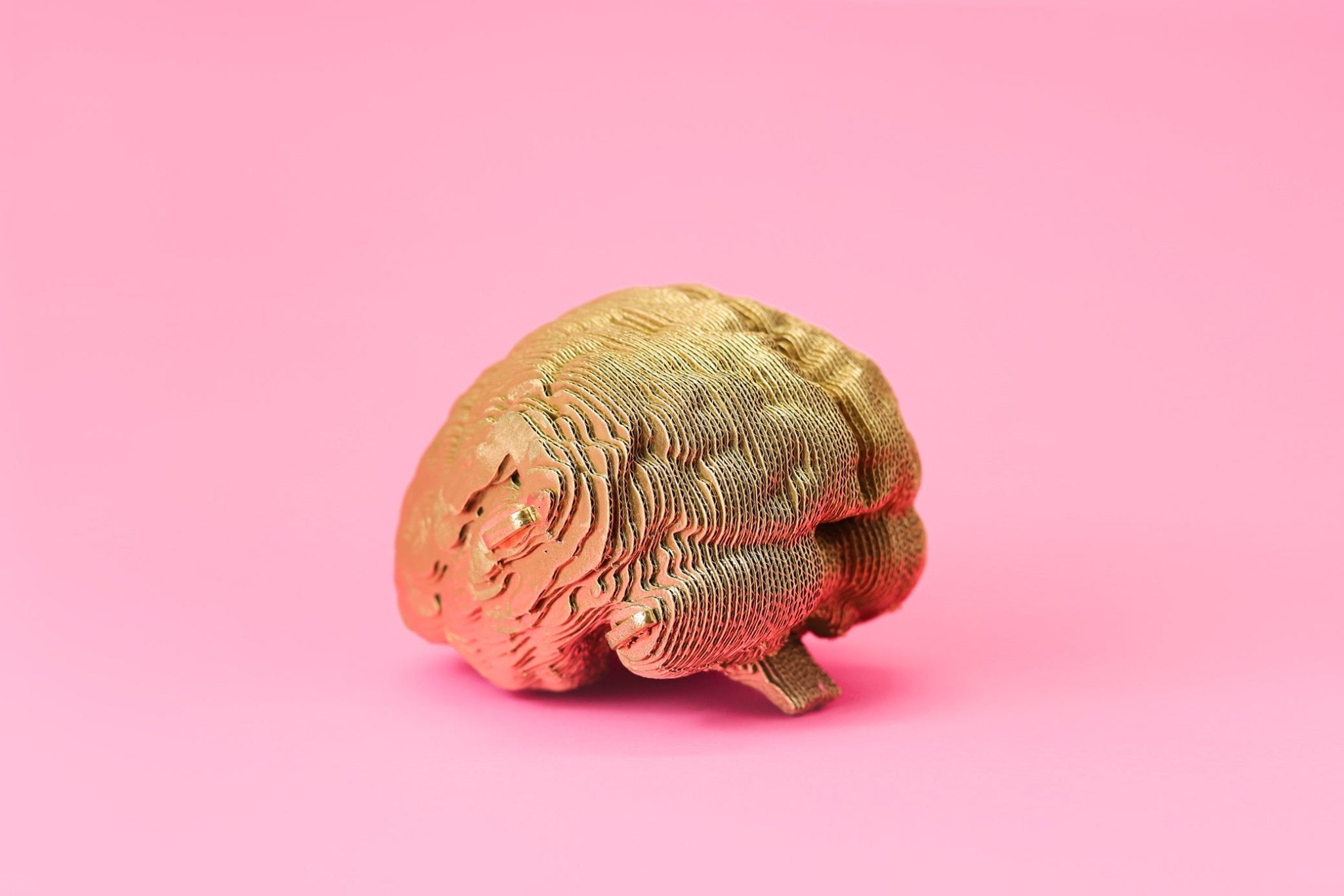 SMEGENYS: surenkama 3D dėlionė - skulptūra - OBUOLYS