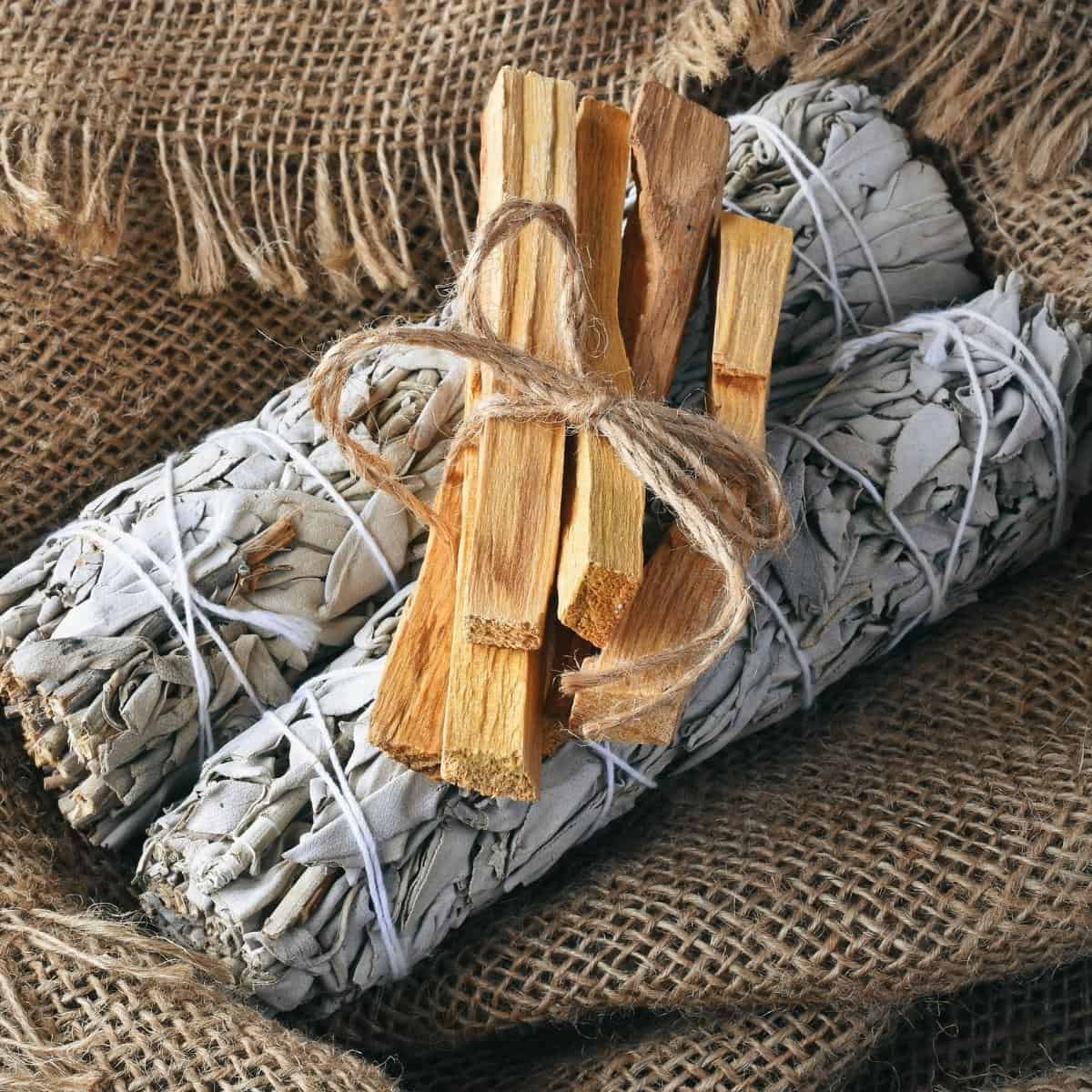 Smilkalai – Baltasis šalavijas ir Palo Santo Ancient Wisdom - OBUOLYS