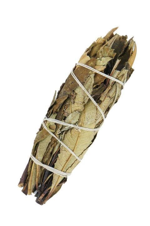 Smilkalai – Yerba Santa Šalavijas Ancient Wisdom - OBUOLYS