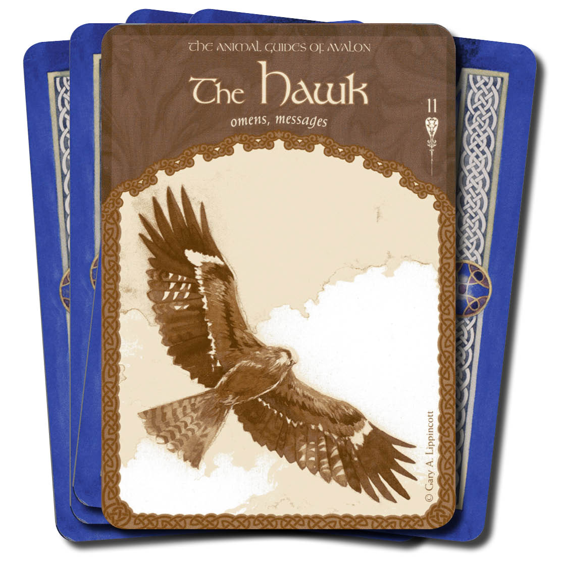 The Wisdom of Avalon Oracle kortos Hay House