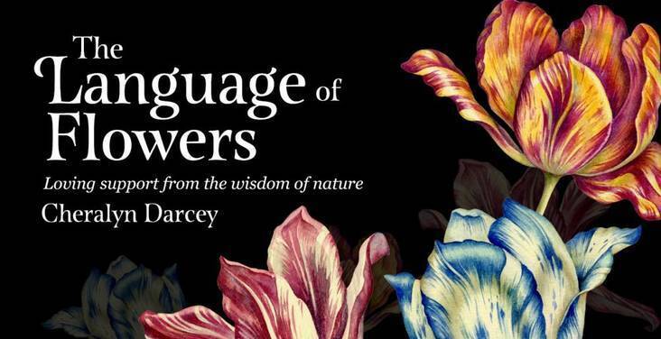 The Language of Flowers Inspiration kortos Rockpool