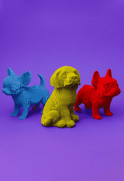ŠUNIUKŲ TRIO: surenkama 3D dėlionė - skulptūra - OBUOLYS