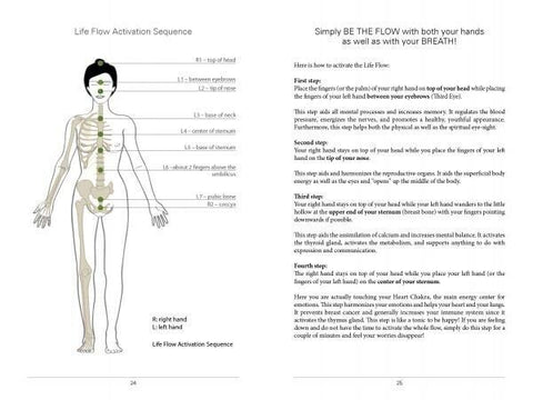 Feeling great With the Moon Knyga Schiffer Publishing