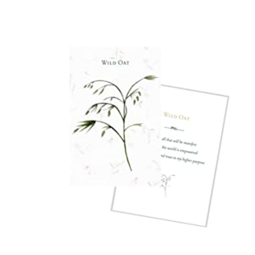 Listening to flowers Oracle kortos Schiffer Publishing