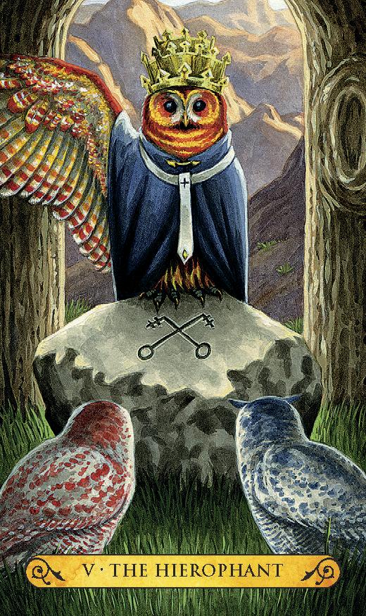 Tarot of the Owls Mini kortos Llewellyn - OBUOLYS