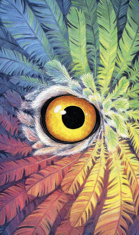 Tarot of the Owls Mini kortos Llewellyn - OBUOLYS