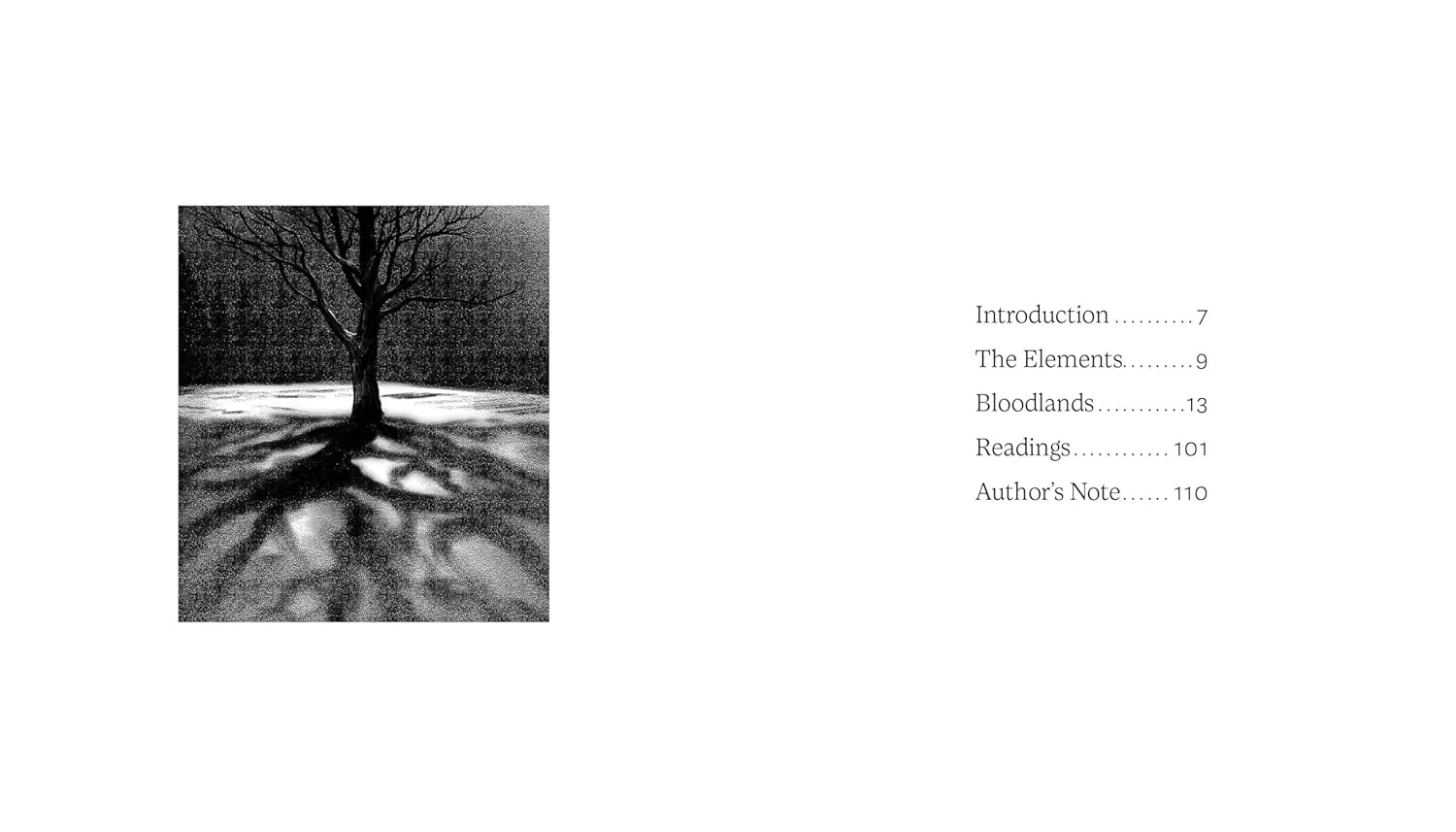 the Bloodlands Oracle kortos Schiffer Publishing - OBUOLYS