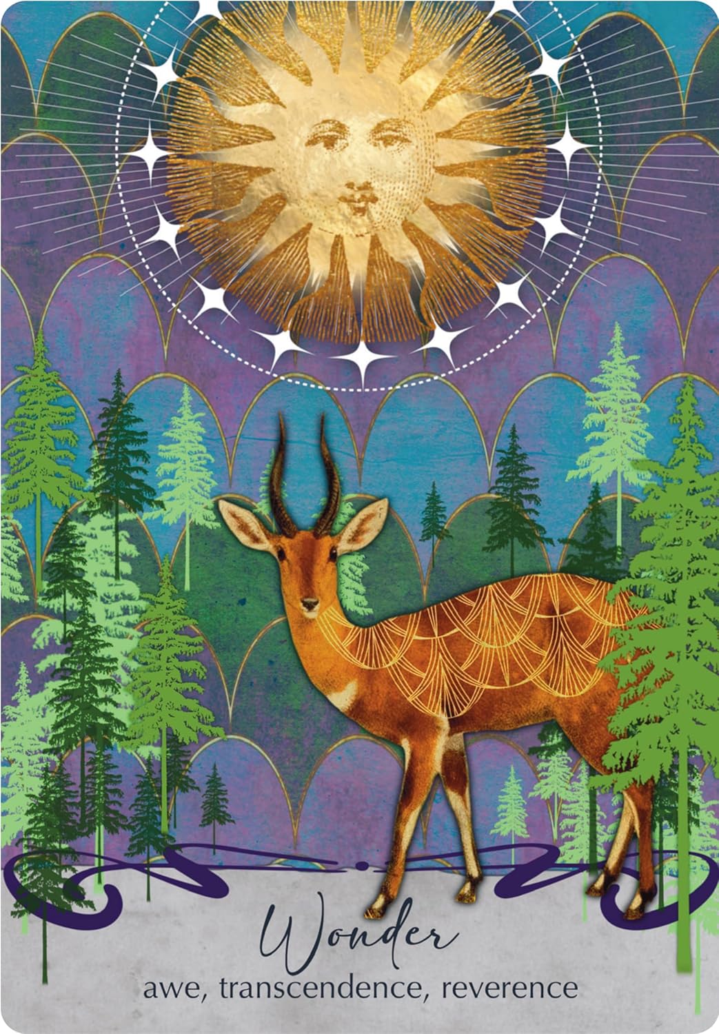 The Oracle of Awakening kortos Weiser Books - OBUOLYS