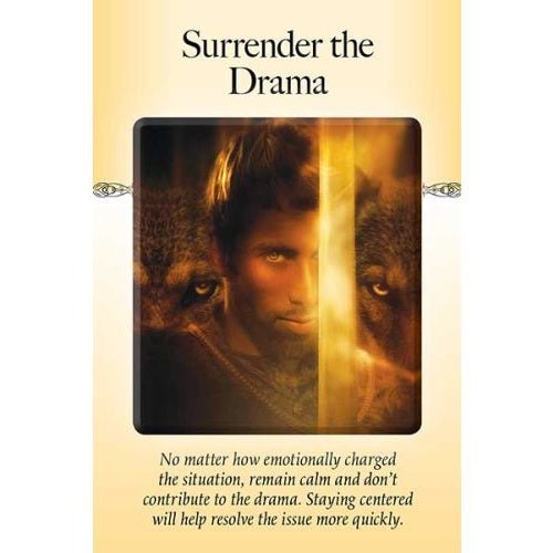 The Power of Surrender kortos Hay House - OBUOLYS