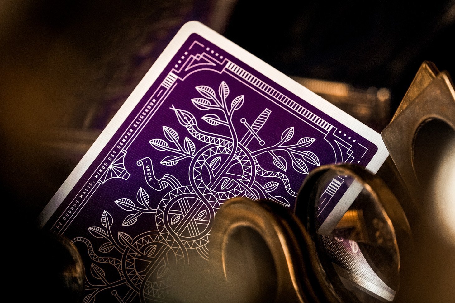 Theory11 Monarchs kortos (Violetinės) - OBUOLYS