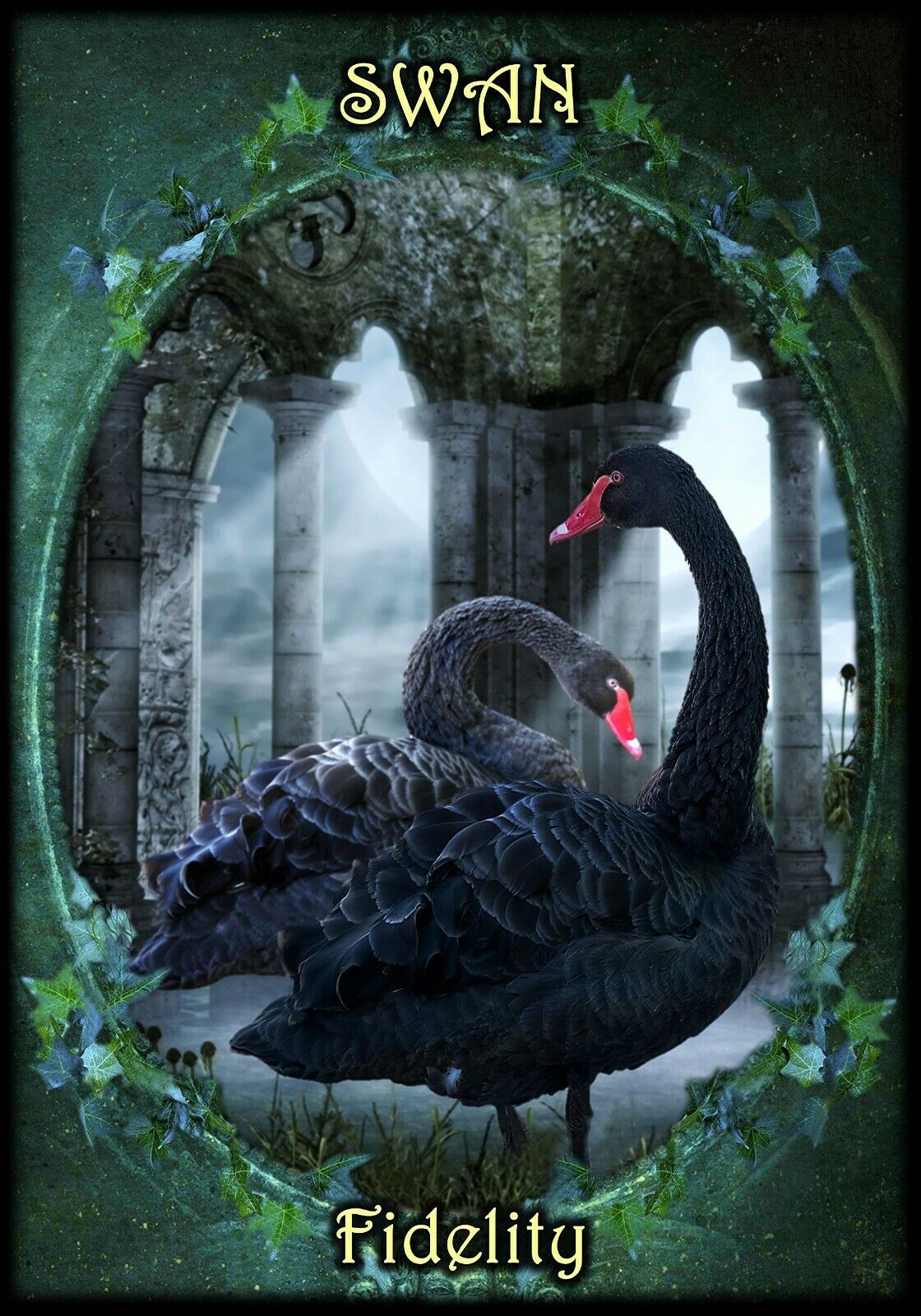 Witches Familiars Oracle Kortos Solarus