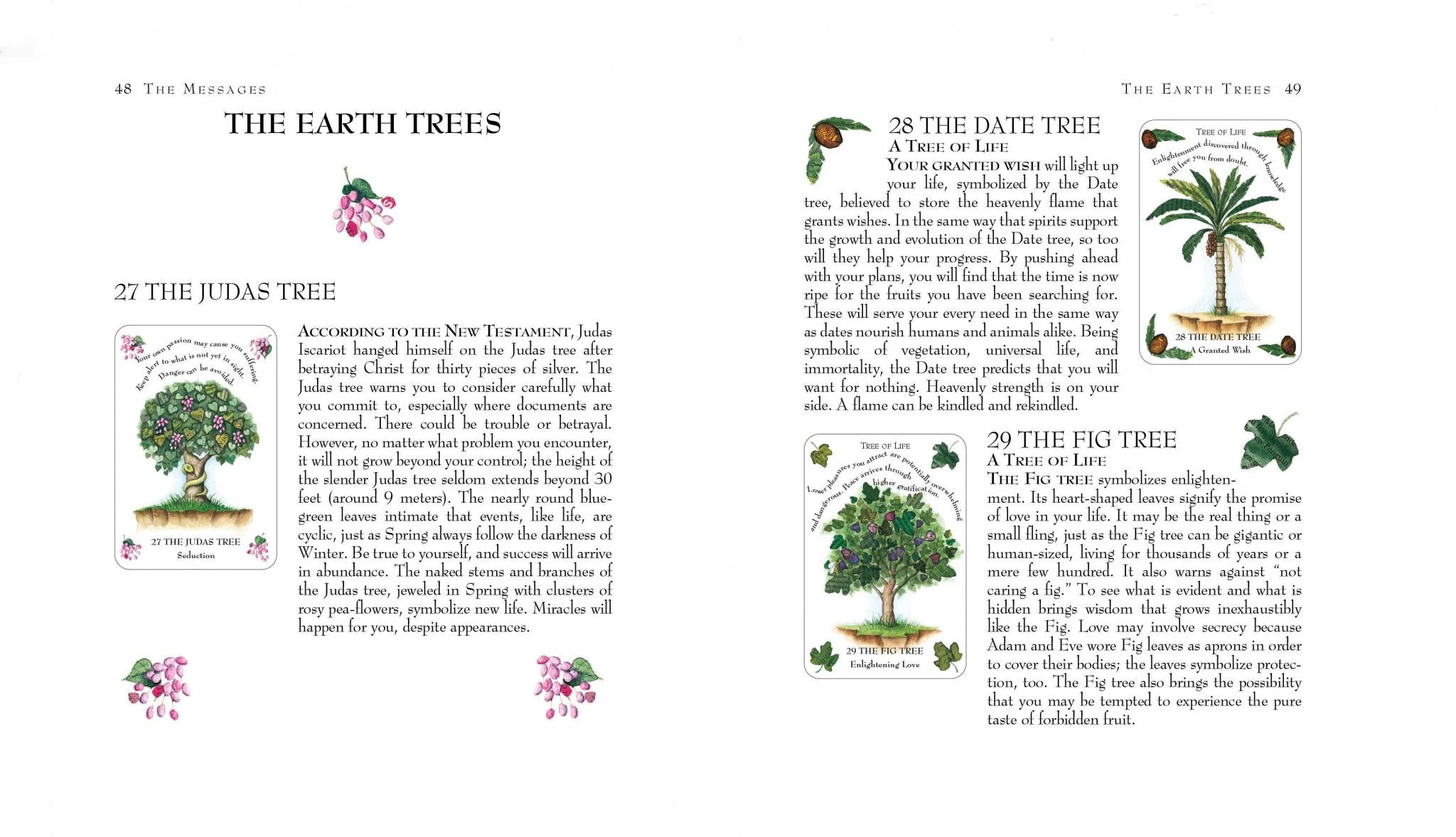 Tree Magick Oracle kortos Cico Books - OBUOLYS