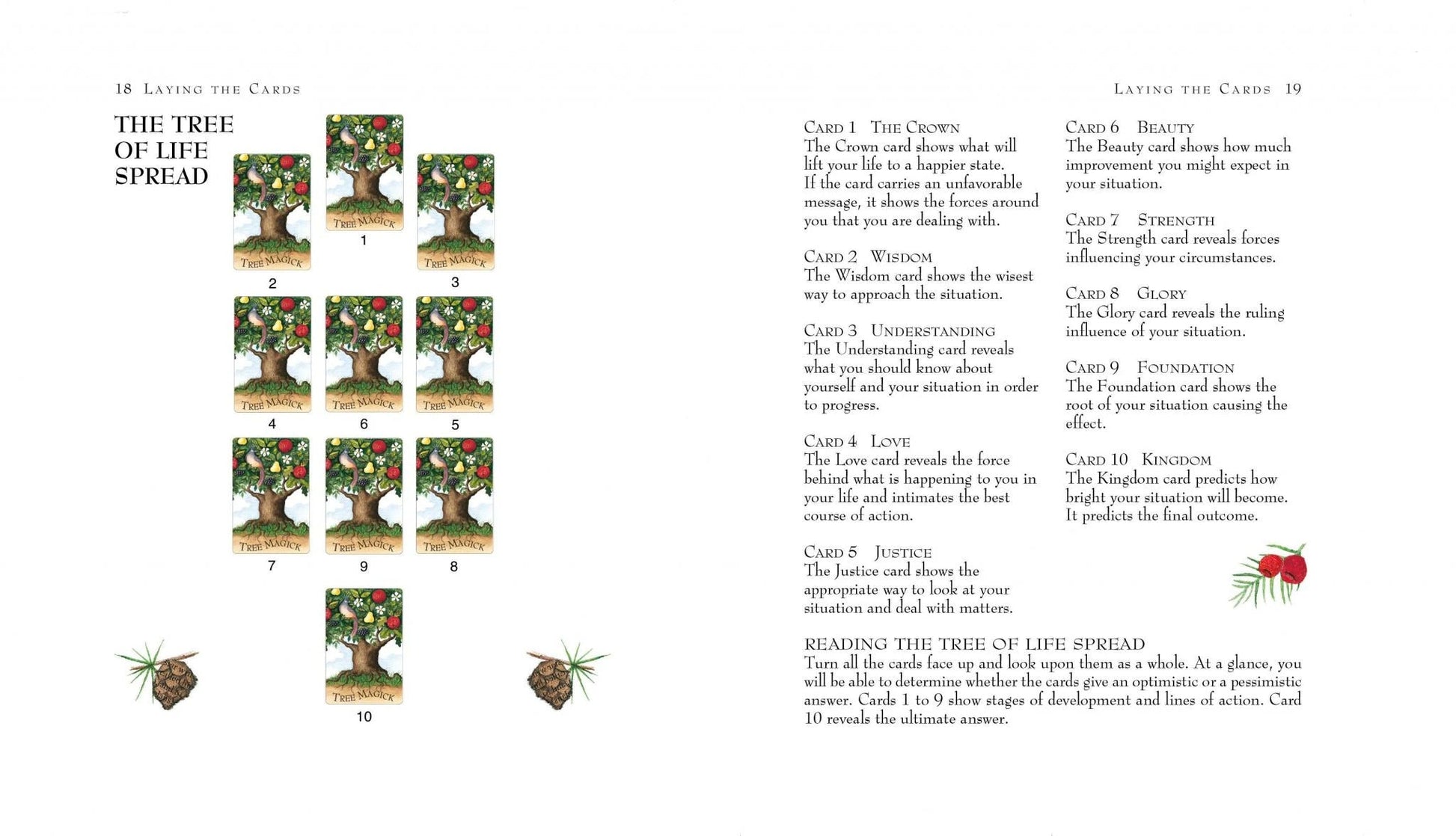 Tree Magick Oracle kortos Cico Books - OBUOLYS