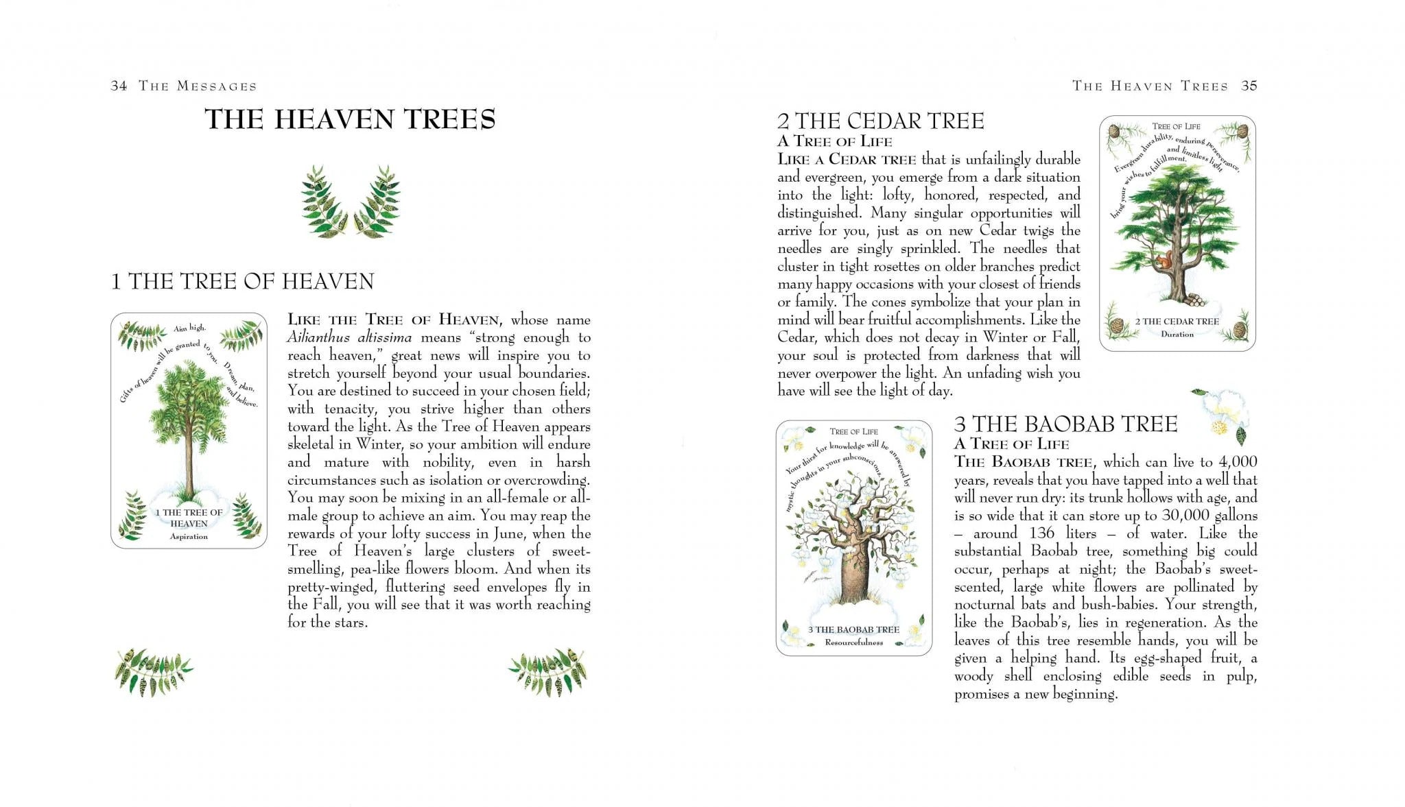 Tree Magick Oracle kortos Cico Books - OBUOLYS