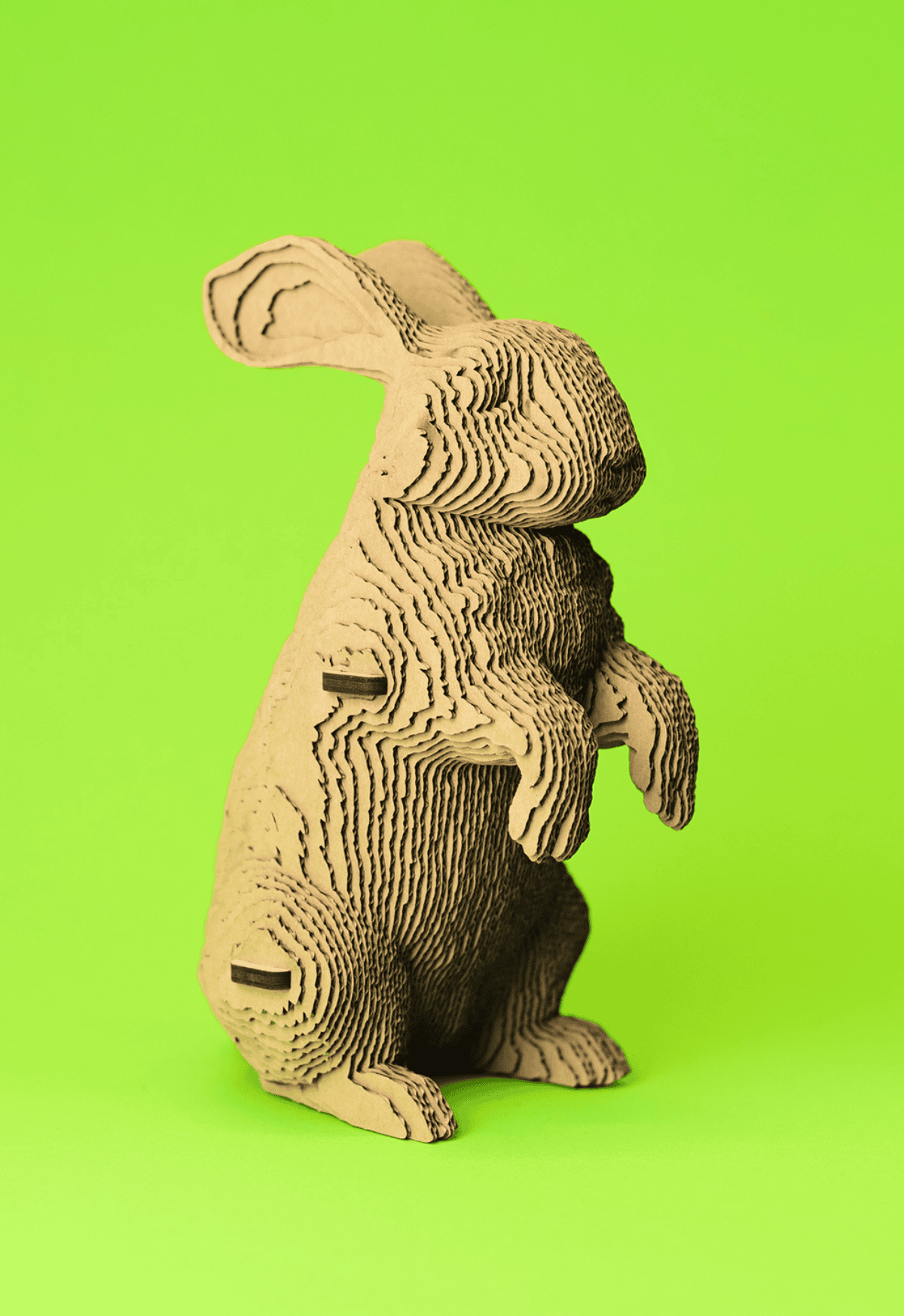 TRIUŠIS: surenkama 3D dėlionė - skulptūra - OBUOLYS