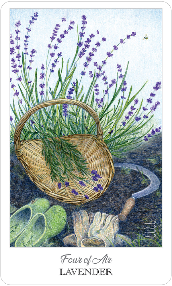 THE HERBCRAFTER’S TAROT: augalų magija ir dvasinė išmintis taro kortose