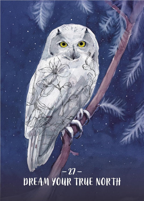 Sisterhood of the Seers Oracle kortos Hay House