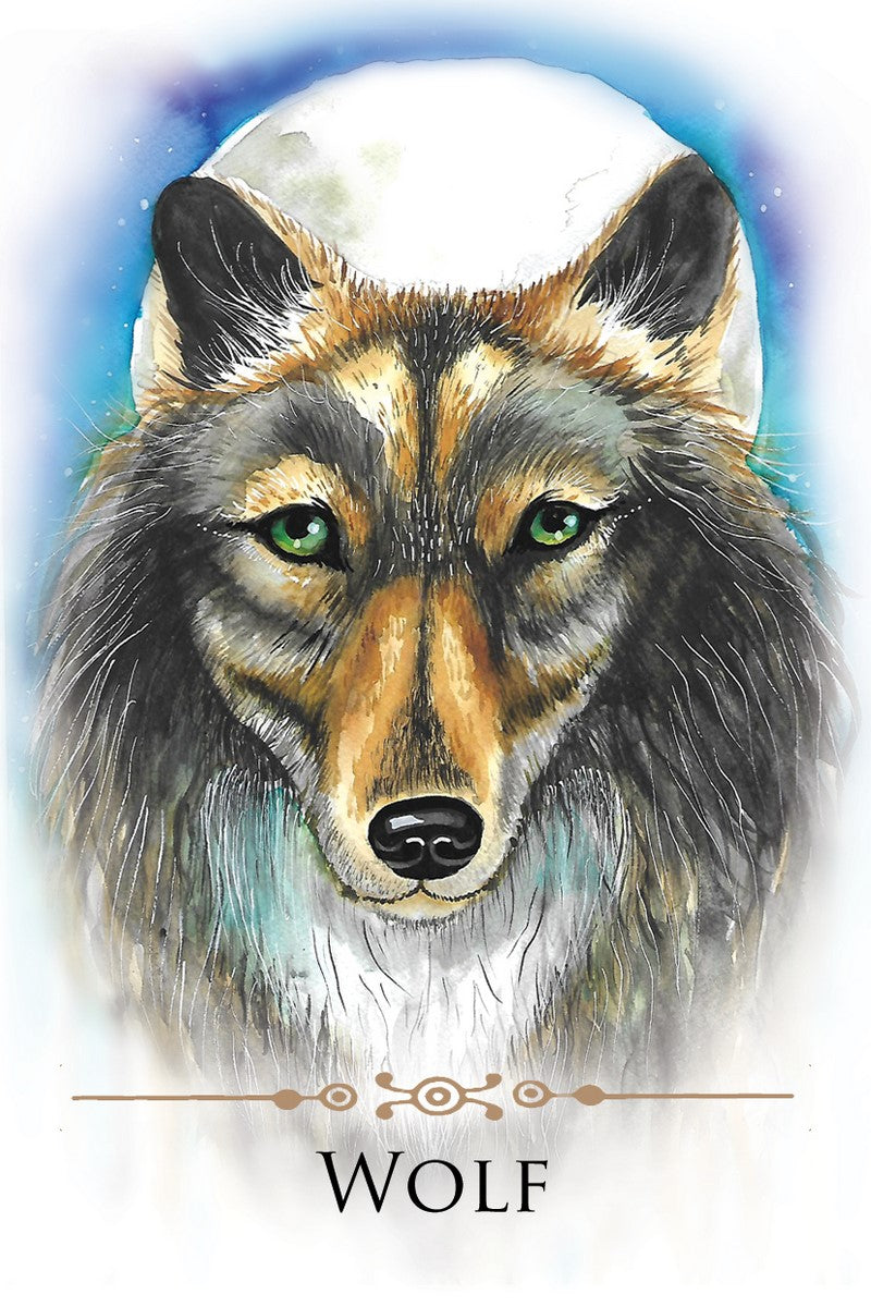 Spirit Animals Message kortos Animal Dreaming