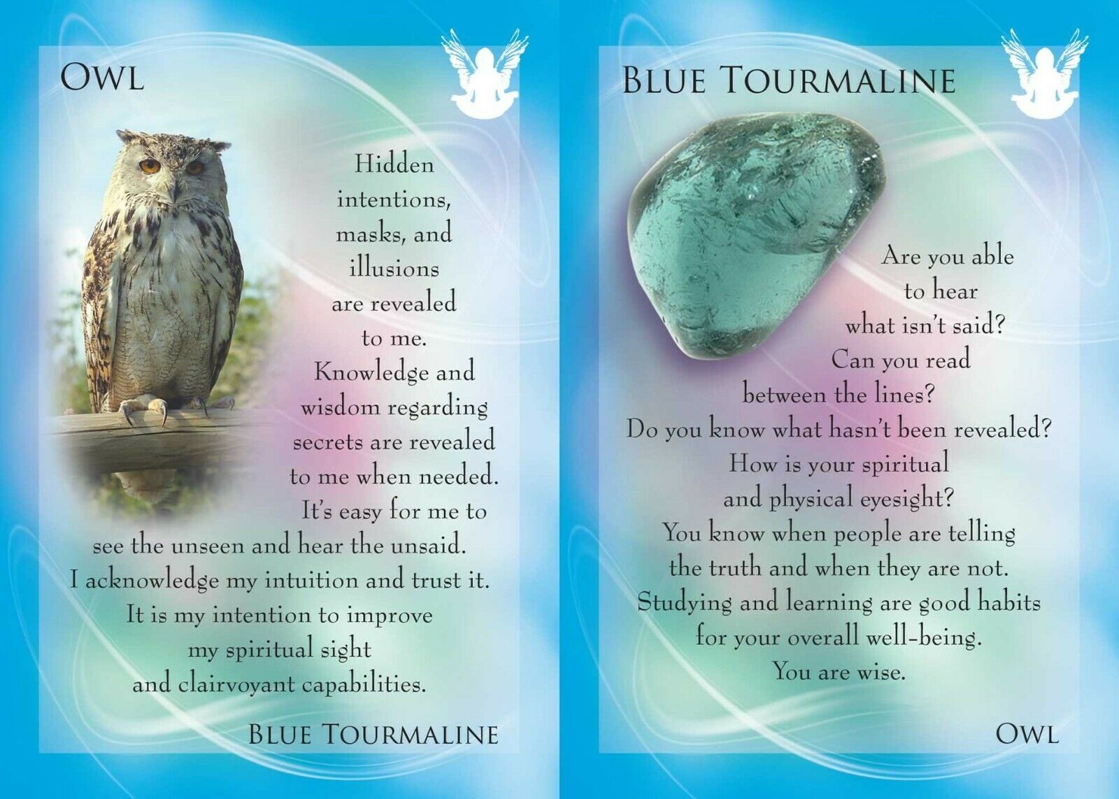 Animal Allies And Gemstone Guardians kortos Findhorn Press