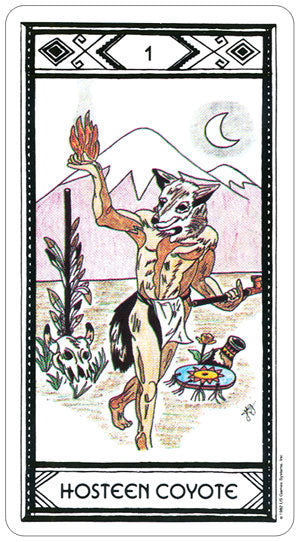 Native American Taro kortos Us Games Systems