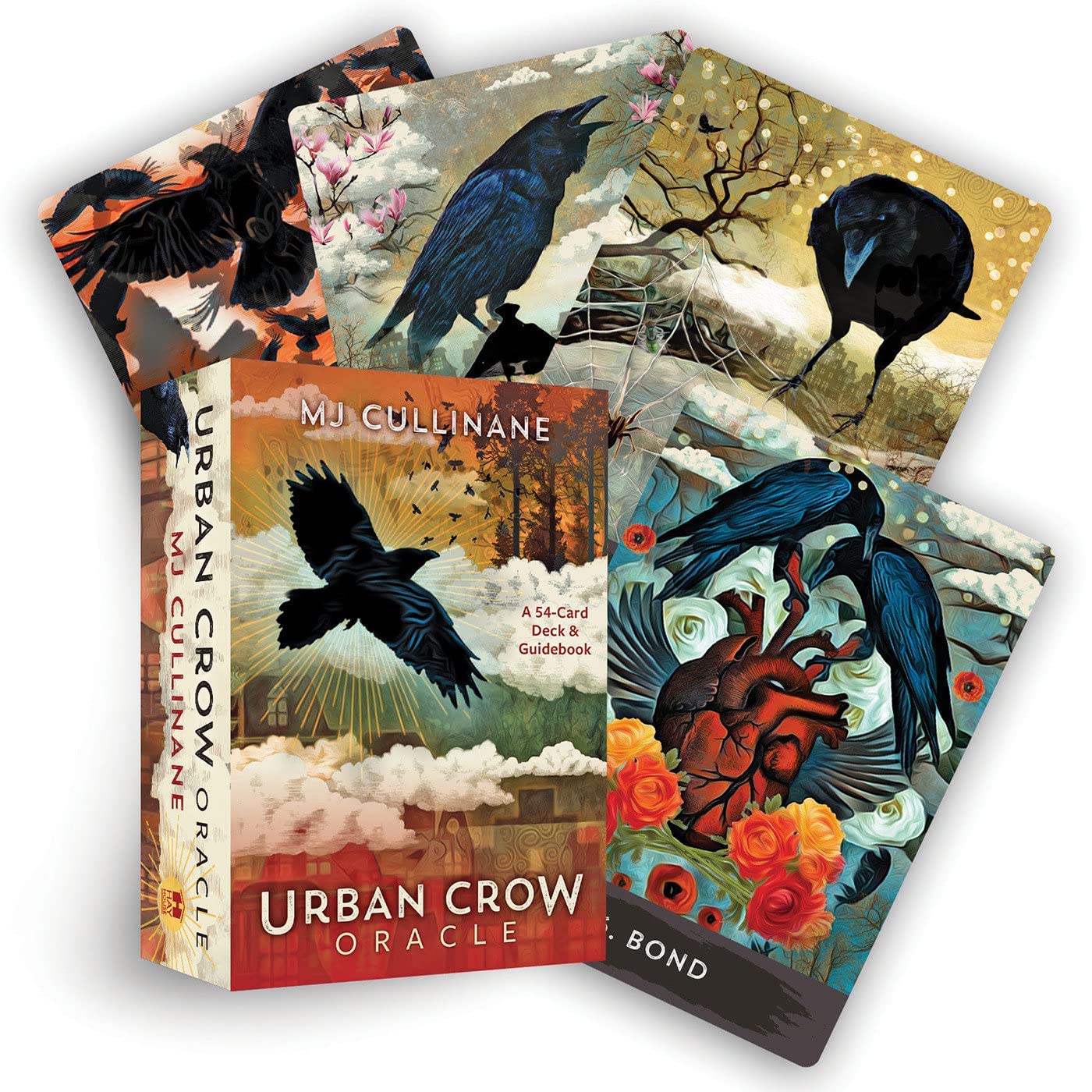Urban Crow Oracle kortos Hay House