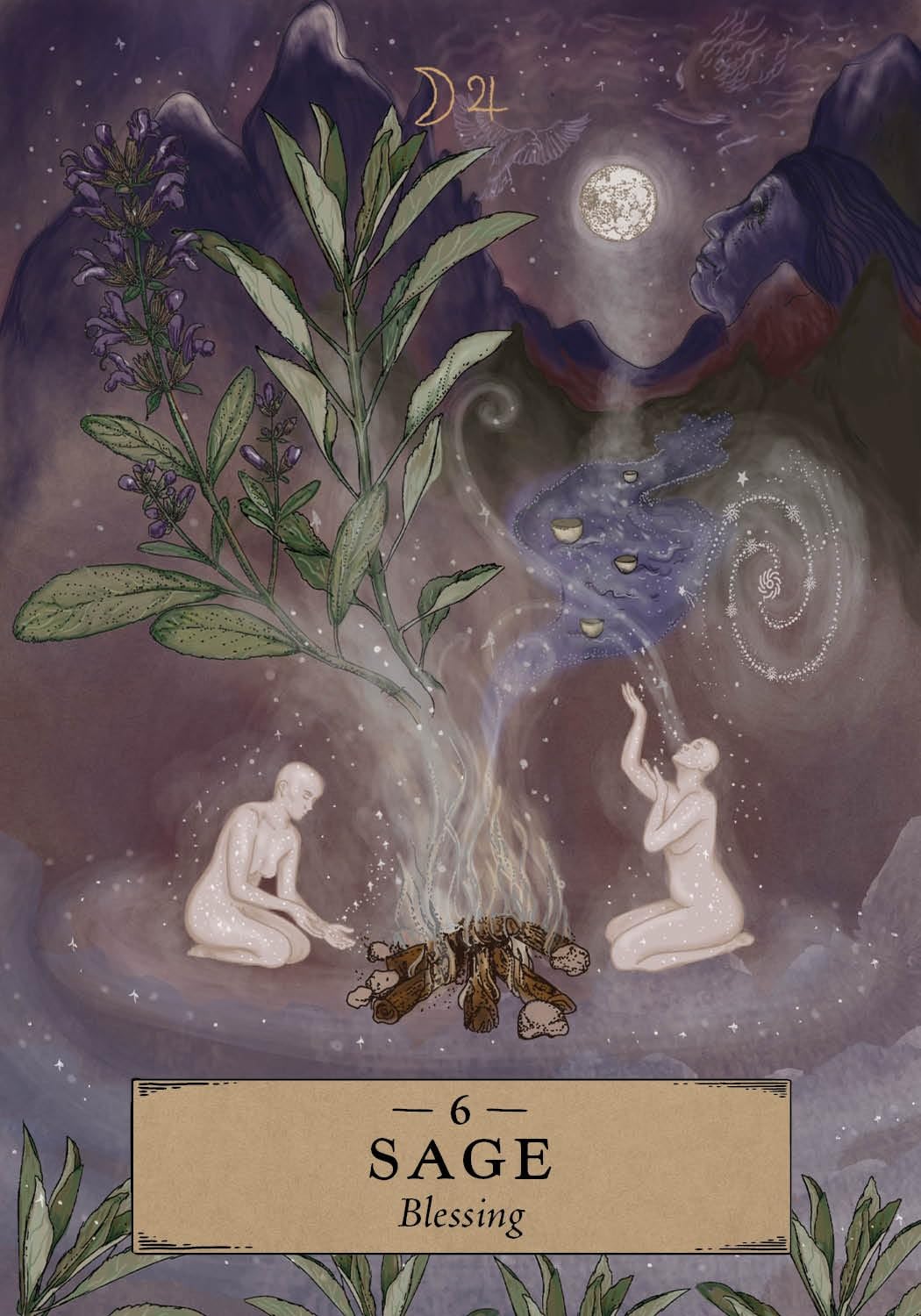 The Herbal Astrology Pocket Oracle kortos Hay House