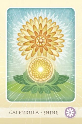 Herbal Healing Deck Taro Kortos Schiffer Publishing
