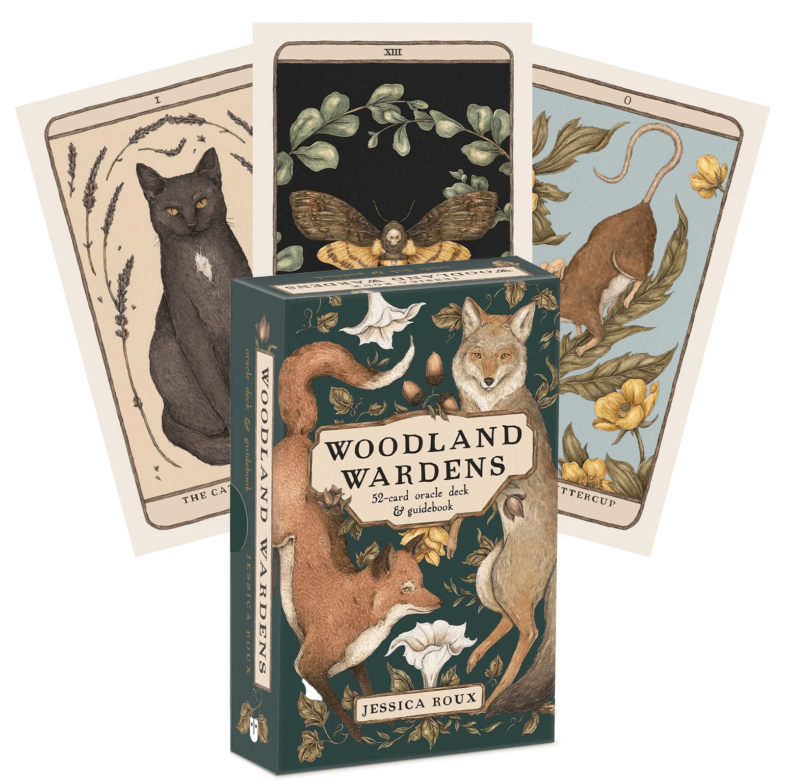 Woodland Wardens Oracle kortos Andrews Mcmeel Publishing - OBUOLYS