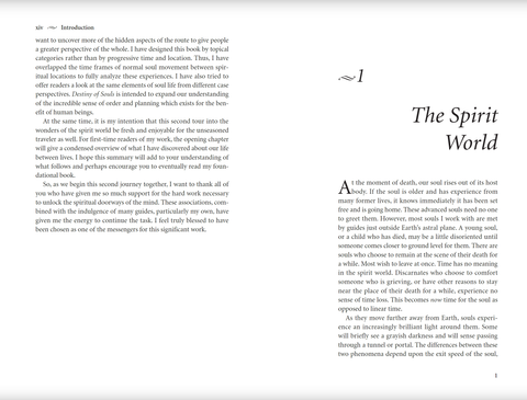 Destiny of Souls knyga Llewellyn