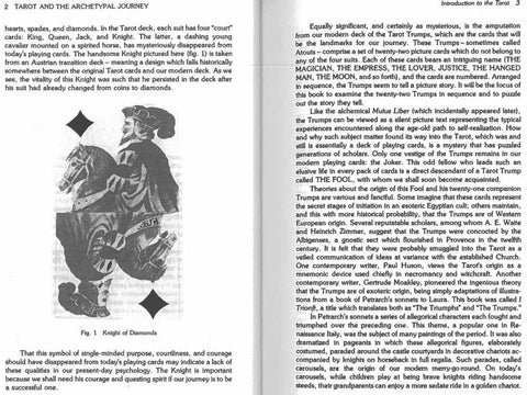 Tarot and the Archetypal Journey knyga Weiser Books