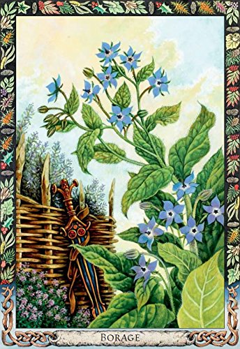 The Druid Plant Oracle Kortos Welbeck Publishing