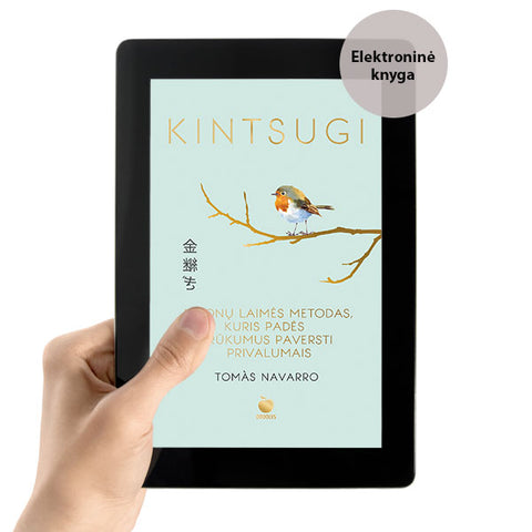 E-knyga KINTSUGI: slaptas japonų laimės metodas, kuris padės gyvenimo trūkumus paversti privalumais